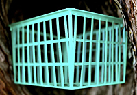 Strawberry Basket Square Pint Resize